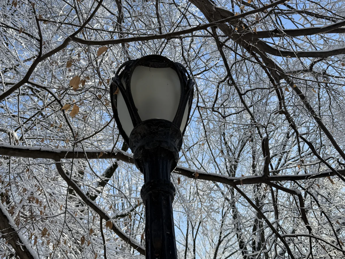 Closeup of Lamppost Globe