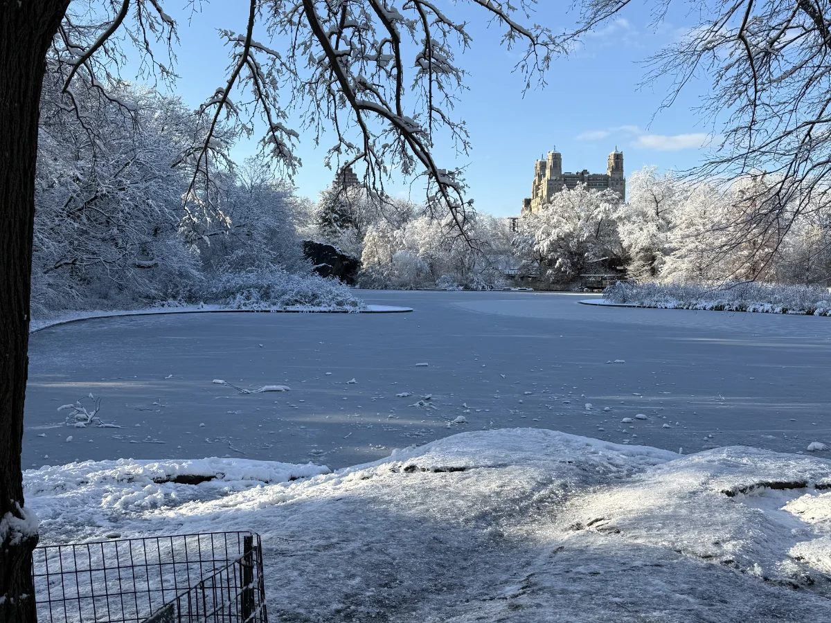 Frozen pond in Central Park