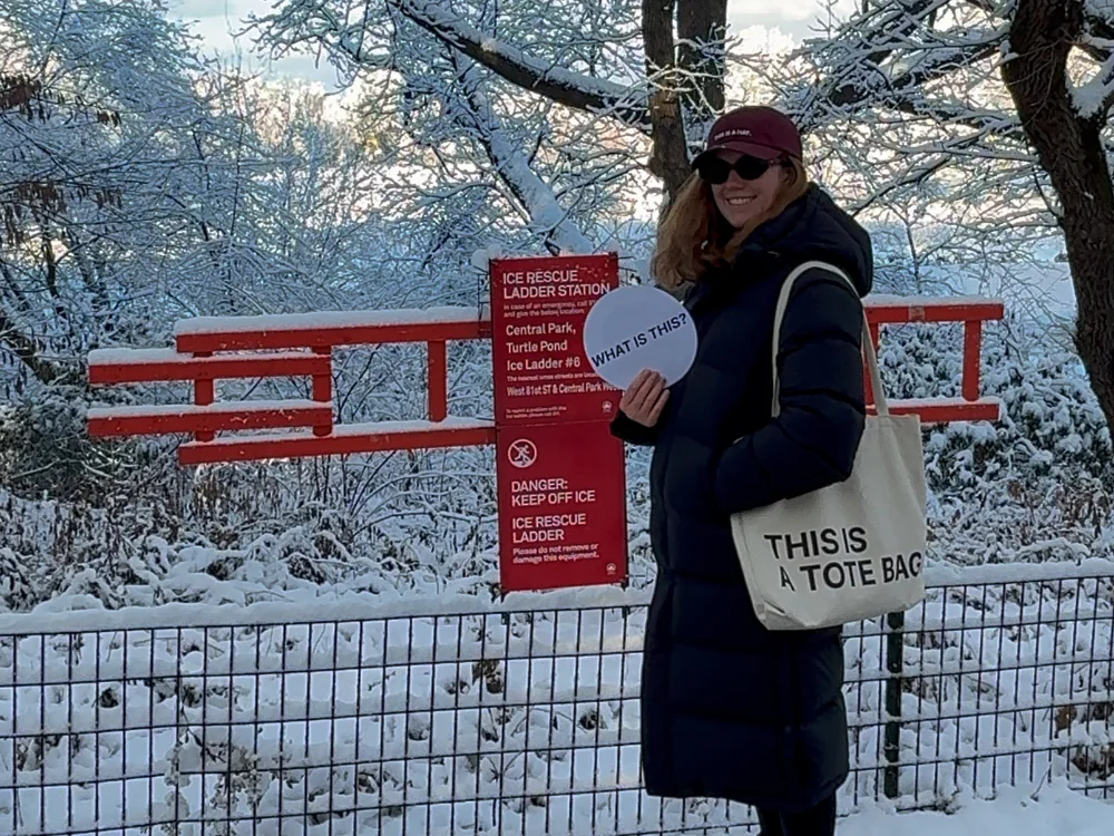 THIS IS AN ICE LADDER.