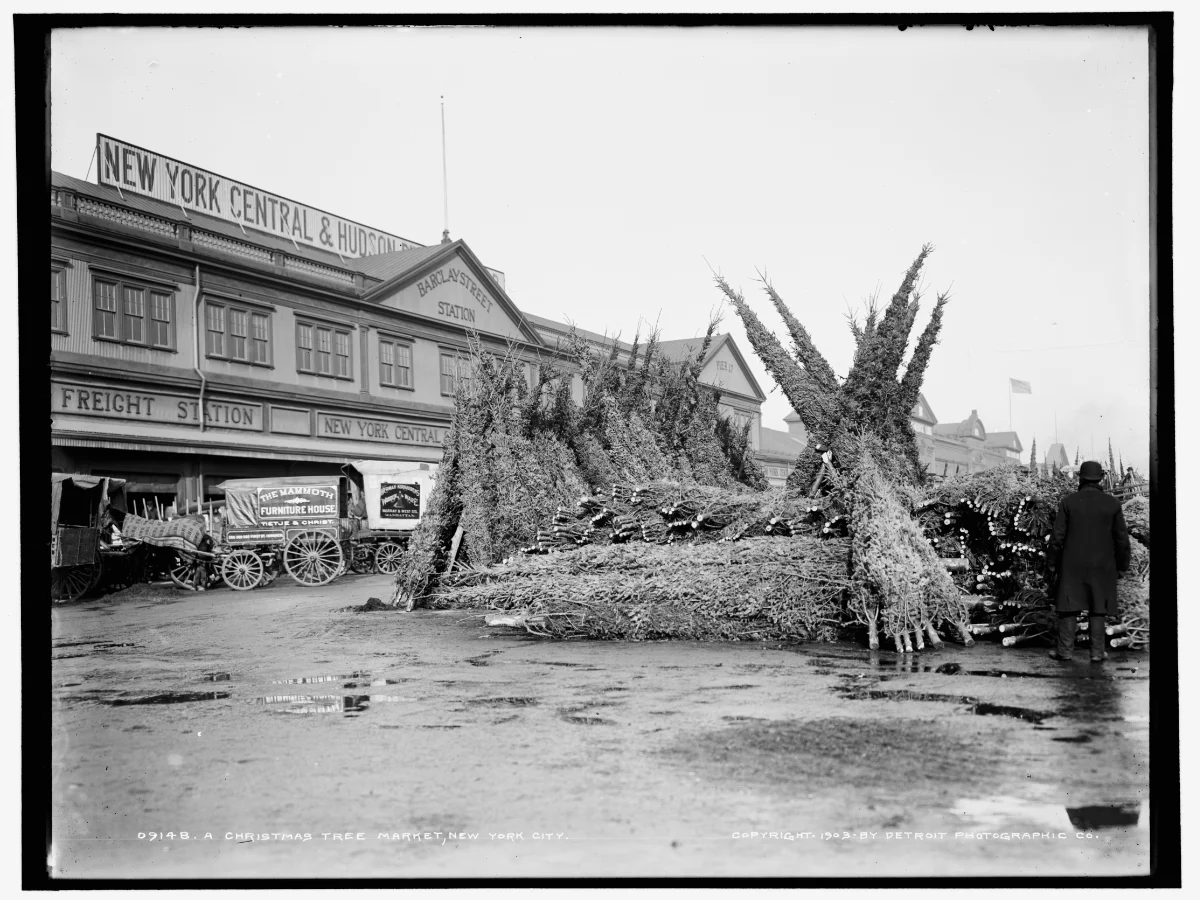 Christmas Tree Market in the Early 1900s
