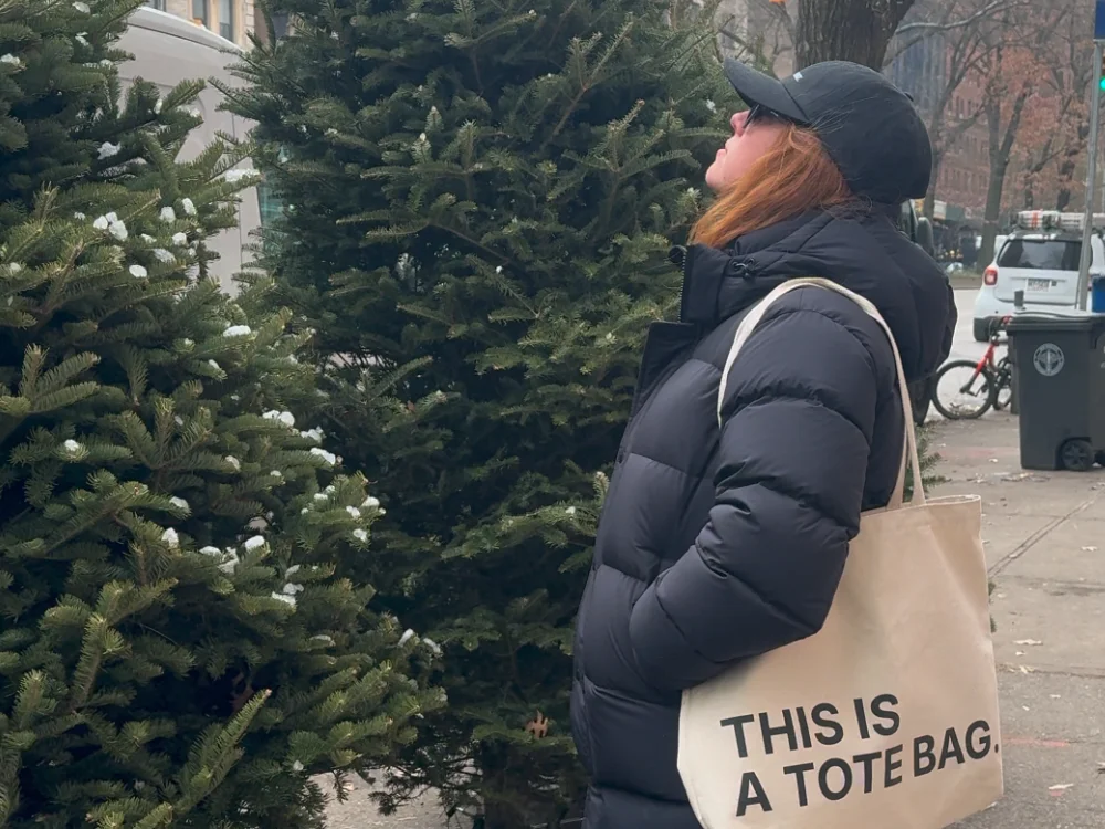 THIS IS A CHRISTMAS TREE STAND.