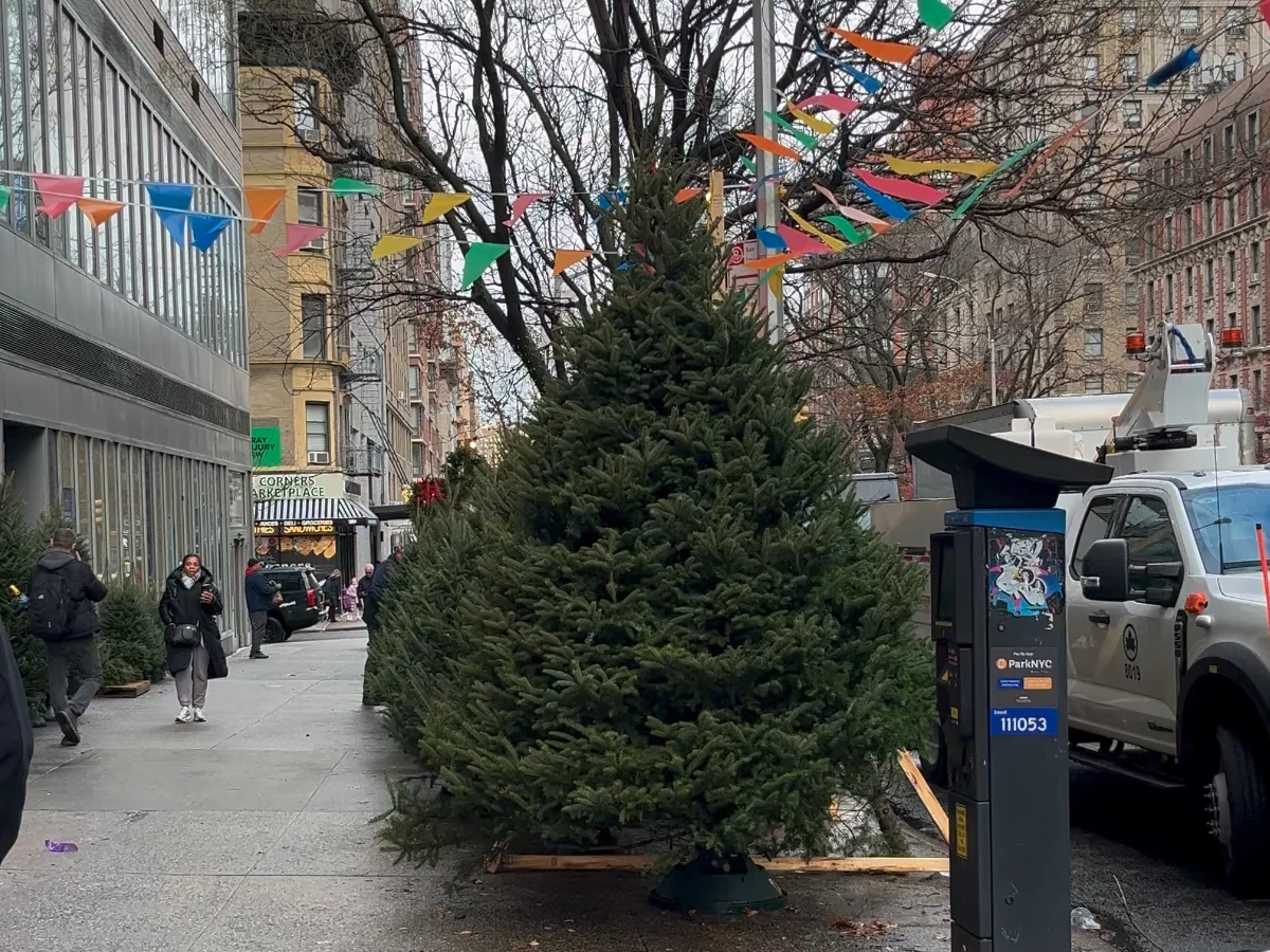 Christmas Tree Stand on Broadway