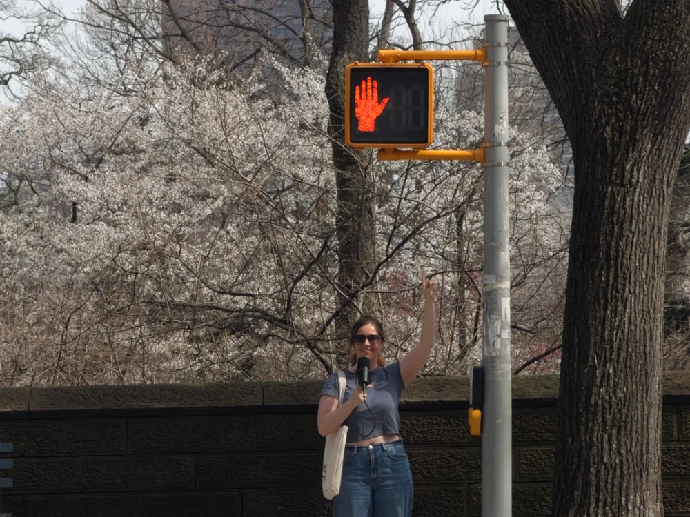 THIS IS A WALK SIGN.